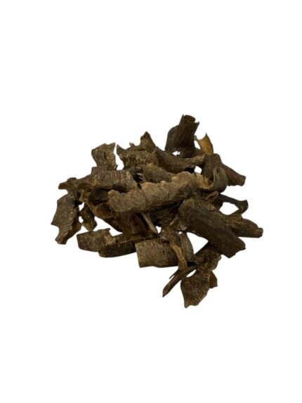 زوايا النخبة